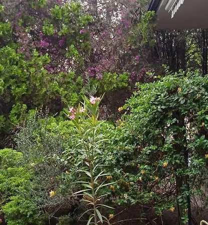 Pier Sant'Andrea (Sardinia)